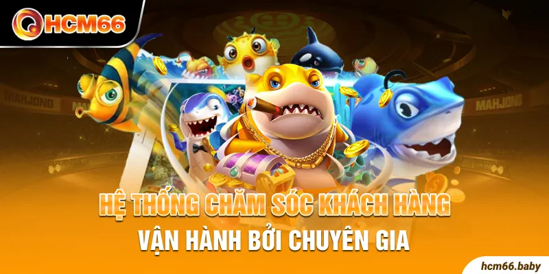 Hệ thống chăm sóc khách hàng vận hành bởi chuyên gia