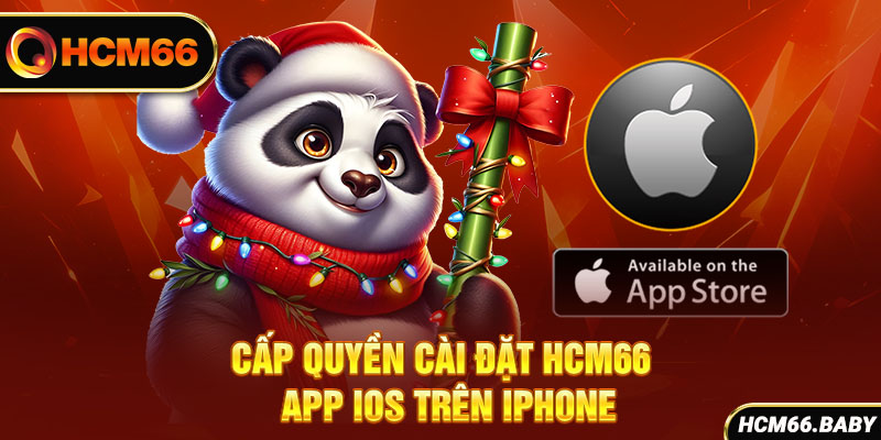 Cấp quyền cài đặt HCM66 app IOS trên Iphone