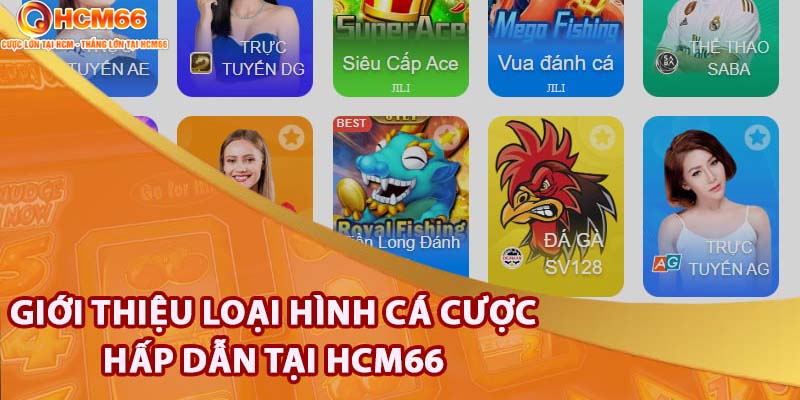 Giới thiệu HCM66 - Sân game cược an toàn và uy tín